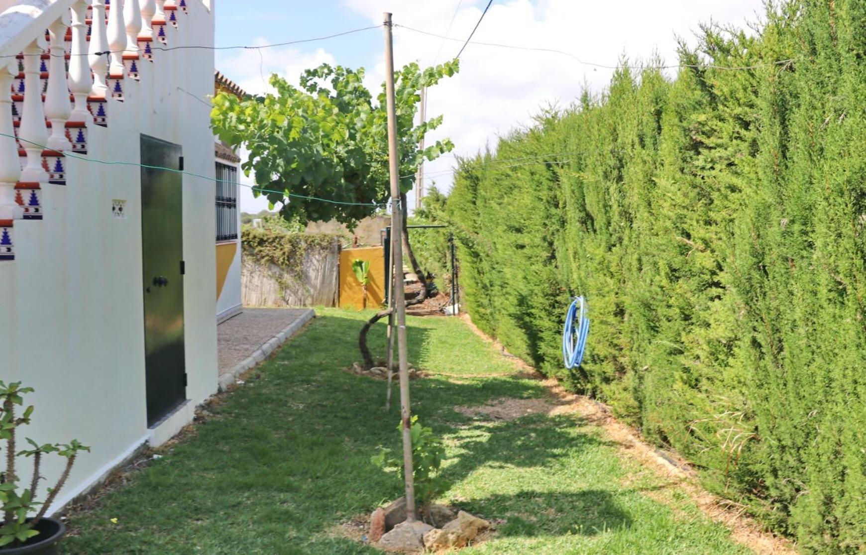 Pilahito Conil De La Frontera